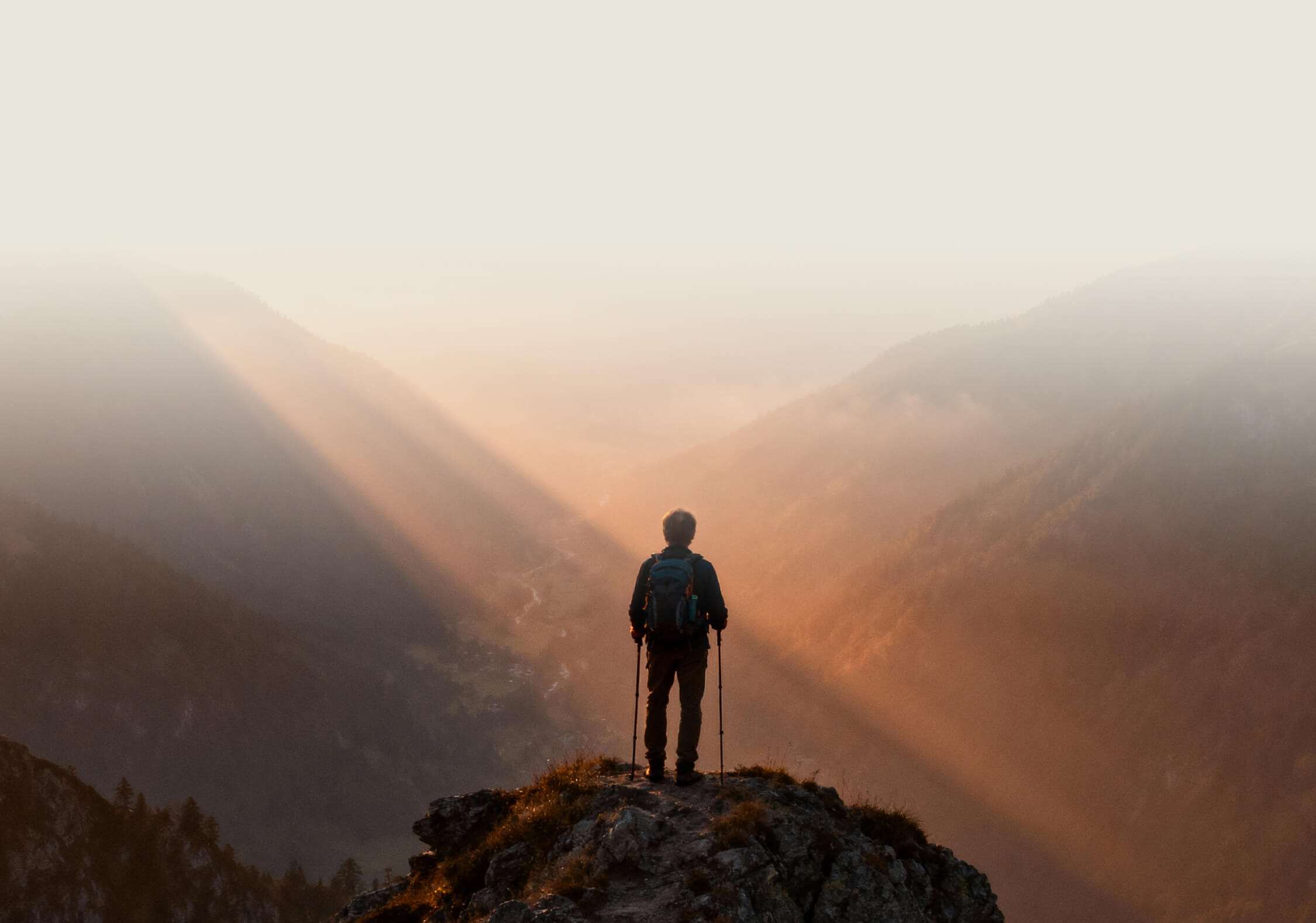 A-Life_Homepage_About_Us