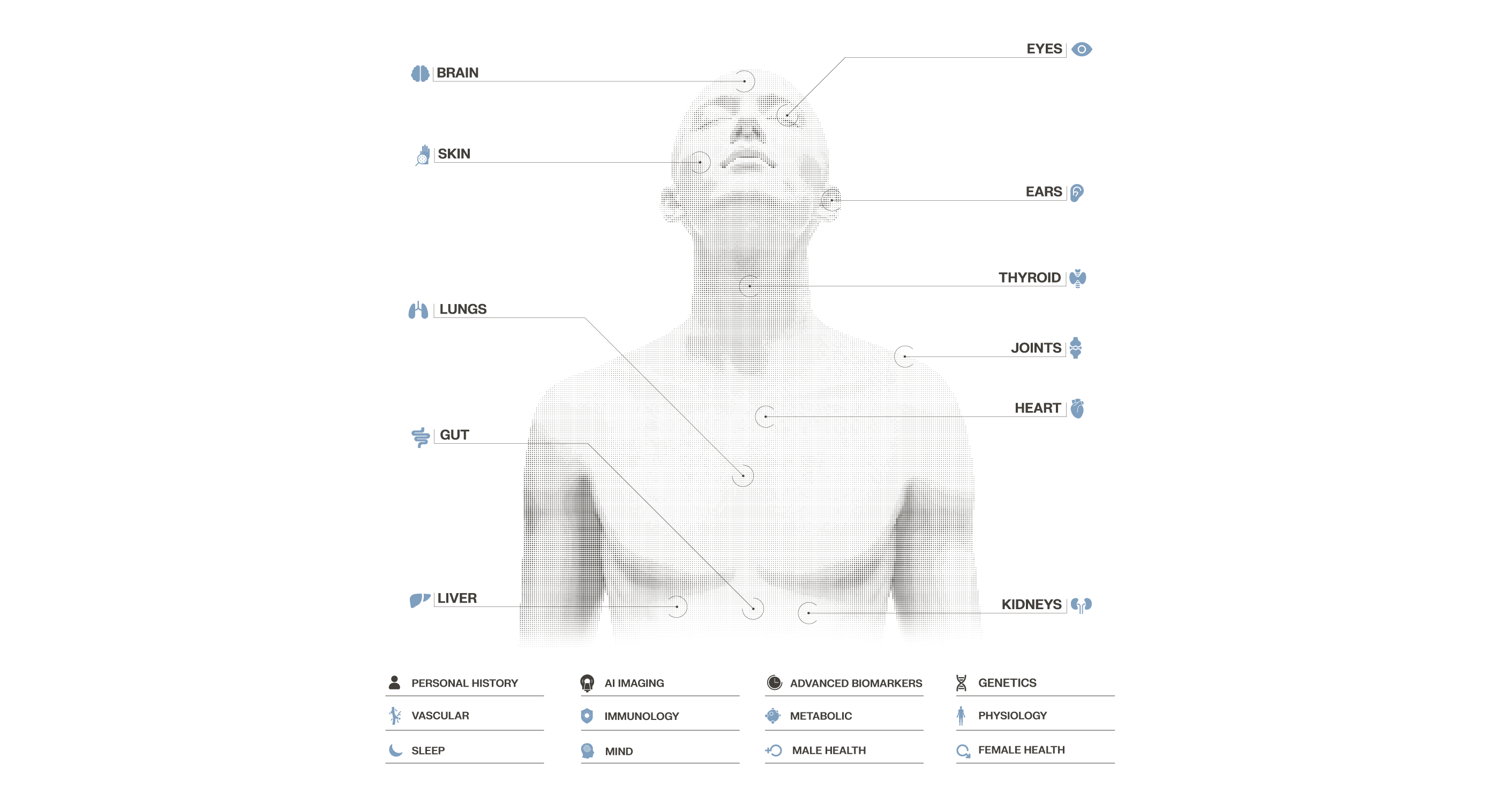 A_LIFE_CheckUp-Charts_02